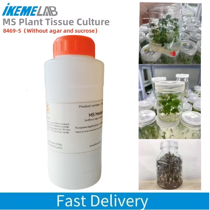 IKEME 250 г Lab MS Средний без – обзор и цена Agar Tissue Culture